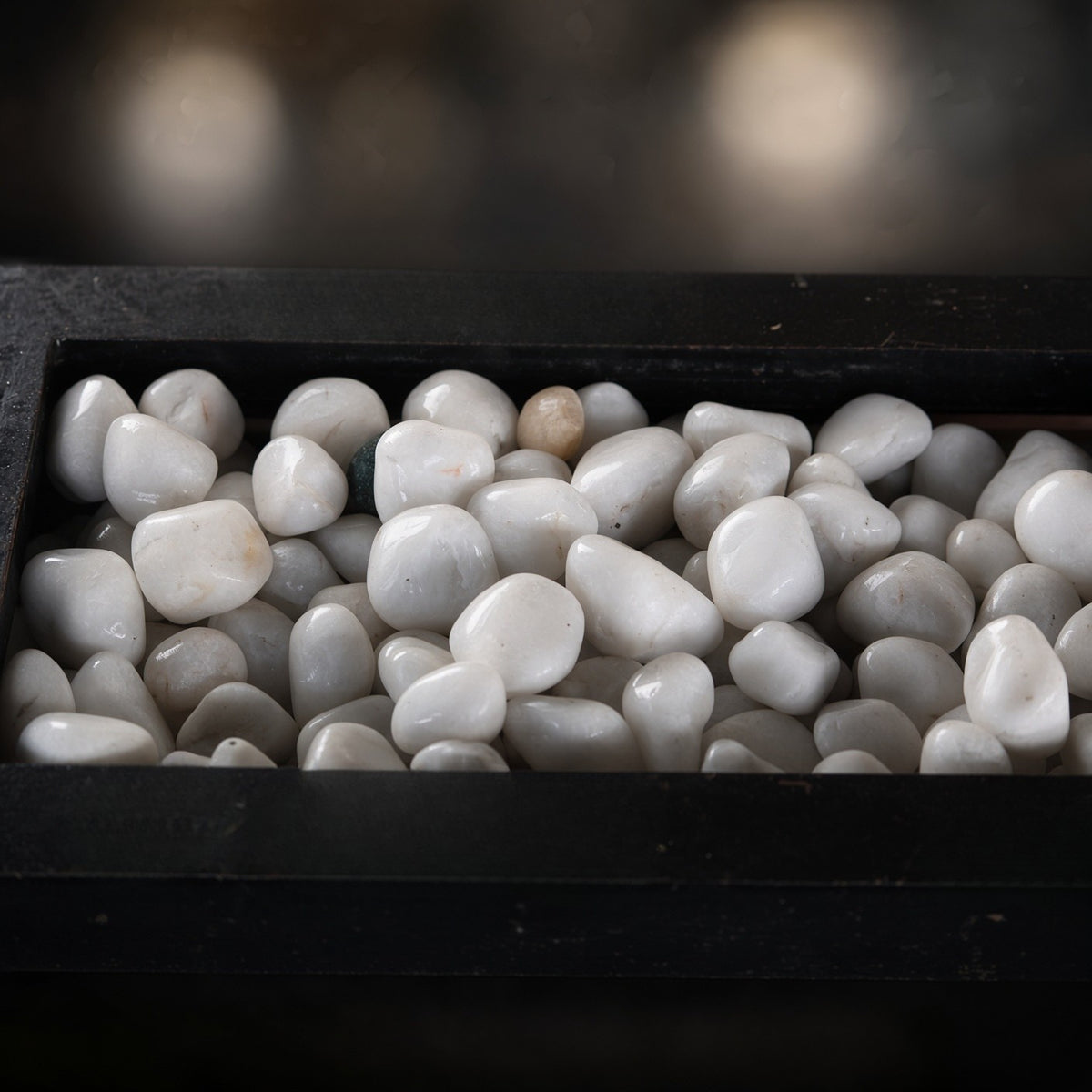 White Decorative Pebbles for Plants – Natural Polished Garden & Pot Stones